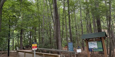 Kids playing on natural wooden climbing features and stepping stones at Hemlock Bluffs.